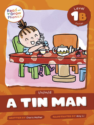 cover image of A Tin Man